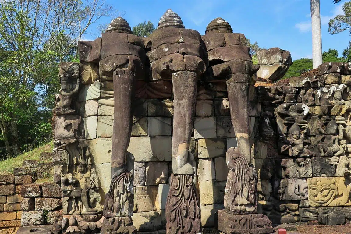 services image